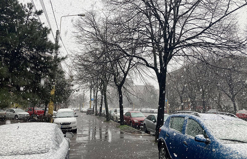 Cod portocaliu de ninsori viscolite la Constanța