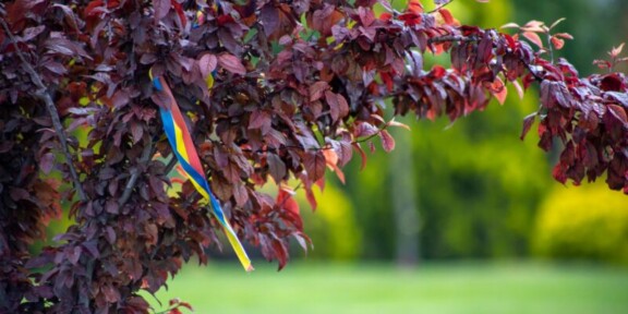 Se inaugurează Parcul Ovidius, chiar de Ziua mondială a mediului!