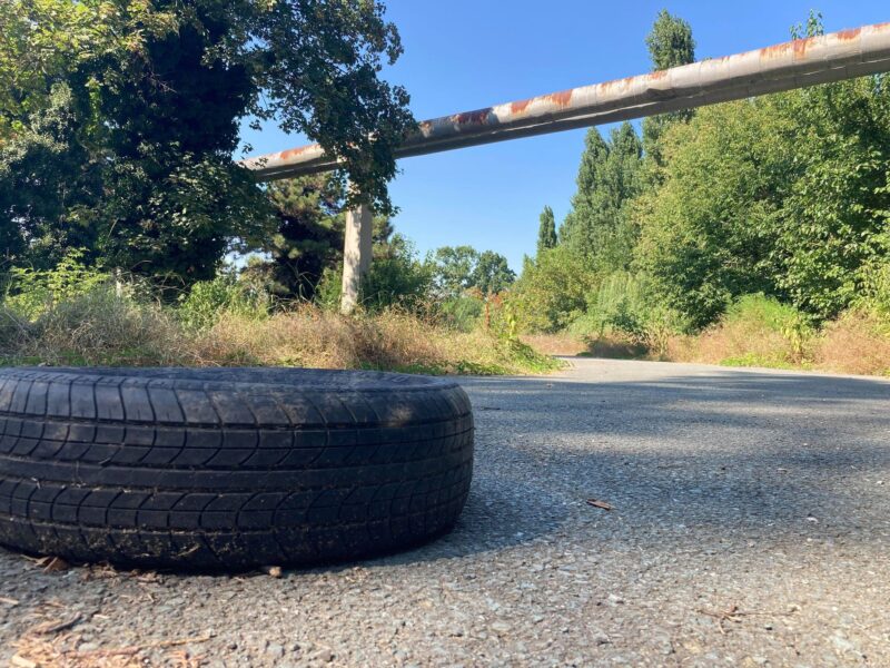FOTO. Va fi preluat Palatul Copiilor de către municipalitate? Consiliul Local Constanța a votat în unanimitate proiectul prin care se fac primii pași pentru preluare