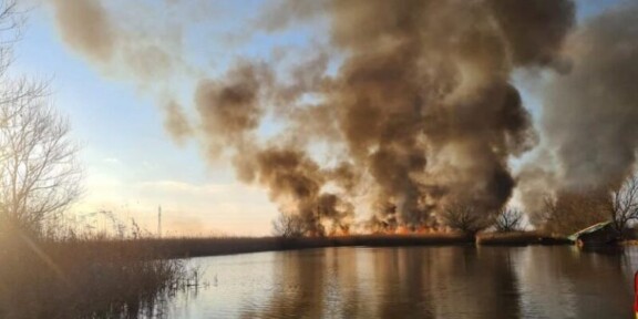Administrația Deltei Dunării a sesizat pompierii tulceni să intervină la incendiile de vegetație din Sulina, la o zi de la izbucnire