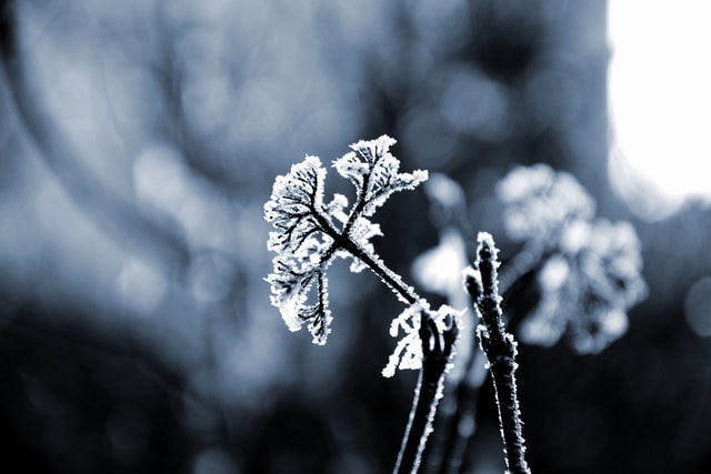 Informare meteorologică: Vremea va fi deosebit de rece, în zona montană va ninge, în nordul, centrul țării și în zonele submontane se va produce brumă, iar temperaturile minime vor fi negative