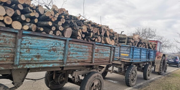 Prins de jandarmi cu două remorci de lemne fără acte