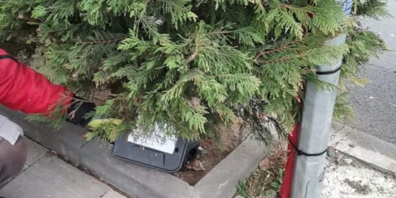 Primăria Municipiului Constanța a reluat acțiunile de deratizare