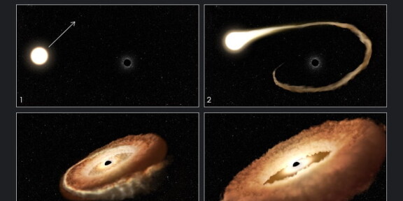 NASA prezintă momentul în care o stea este înghițită de o gaură neagră