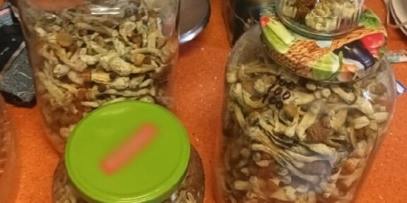 Laborator de droguri descoperit la București / Au fost identificate și ridicate aproximativ 5 kilograme de ciuperci uscate, LSD, DMT