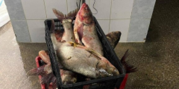 440 metri de plase cu 42 kilograme de pește, scoase din Marea Neagră de polițiștii de frontieră