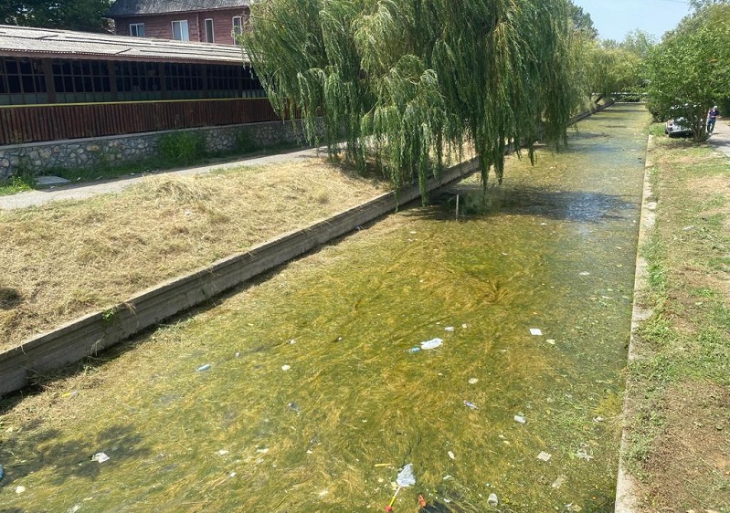 Primăria explică situația dezastruoasă a lacurilor Siutghiol și Tăbăcărie: „Administrația locală nu poate interveni”