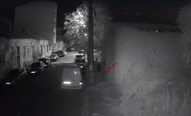 Constănţean amendat cu 10.000 de lei după ce a aruncat gunoiul pe stradă