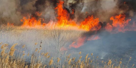 Intervenție de urgență a pompierilor, în Osmancea: arde miriște în apropierea unei case