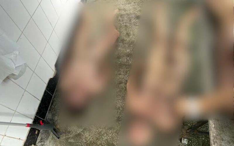 Un medic rezident din Constanța își terorizează fostul iubit. Îi trimite poze cu cadavre: „Îmi închipui că ești tu”