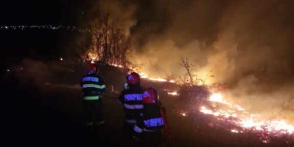 Zeci de hectare au fost afectate de un incendiu puternic, în judeţul Tulcea. Pompierii au luptat cu flăcările mai bine de 5 ore – apel către populaţie