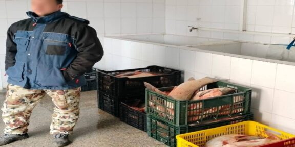 TULCEA. Zeci de kilograme de peşte, fără documente, au fost descoperite în portbagajul unui autoturism