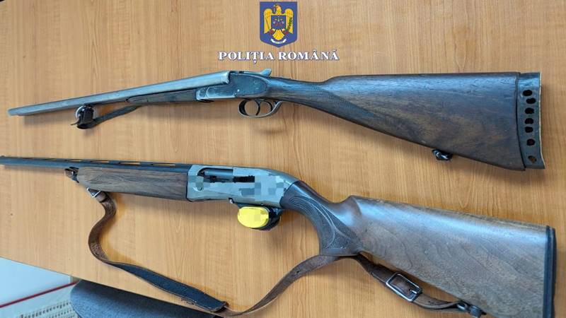 JUDEȚUL CONSTANȚA. Dosar penal pentru doi bărbați care au tras cu arma asupra mai multor câini. Doi dintre ei au murit