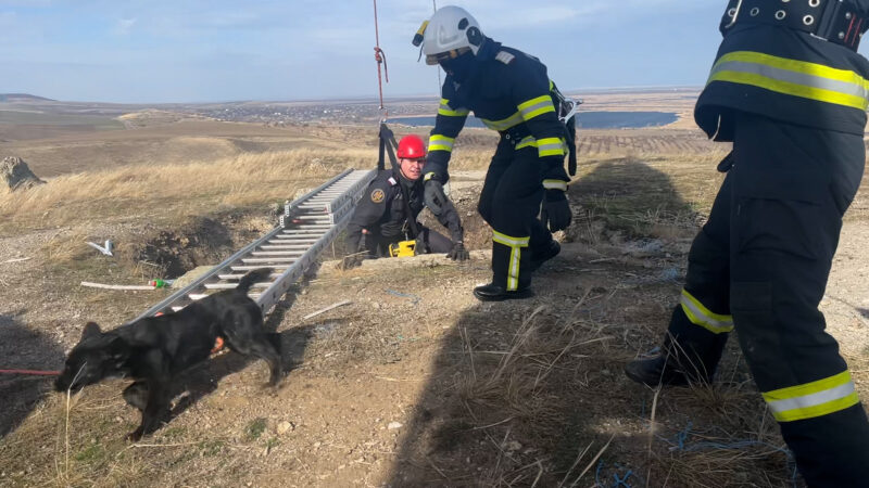 Pompierii tulceni au salvat un căţel care căzuse într-o groapă adâncă de 30 de metri. “În orice moment se putea surpa punând în pericol viața salvatorului”
