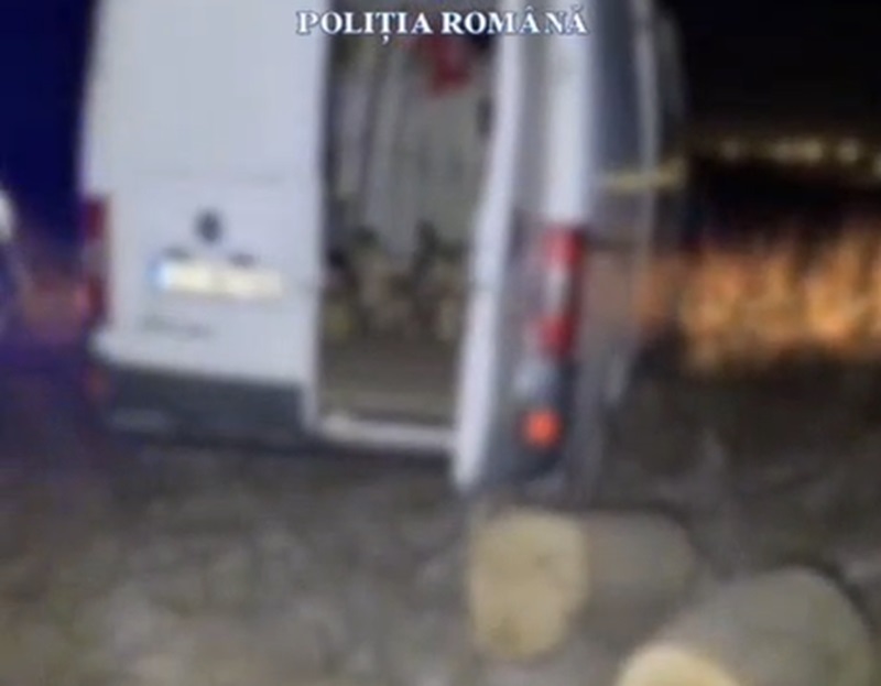 Constănţean prins de poliţişti în timp ce tăia arbori din fondul forestier