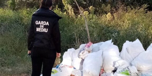 Garda de Mediu Constanța, la bilanț. Județul Constanța, pe locul al doilea pe țară în ceea ce privește activitățile desfășurate anul trecut