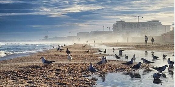 Aproape 50 de subsectoare de plajă de pe litoral vor fi scoase la licitaţie. 38 sunt în staţiunea Mamaia