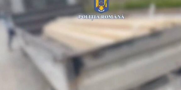(VIDEO) CONSTANȚA. Bărbat amendat cu 5.000 de lei pentru că transporta lemne fără a deține documente de proveniență