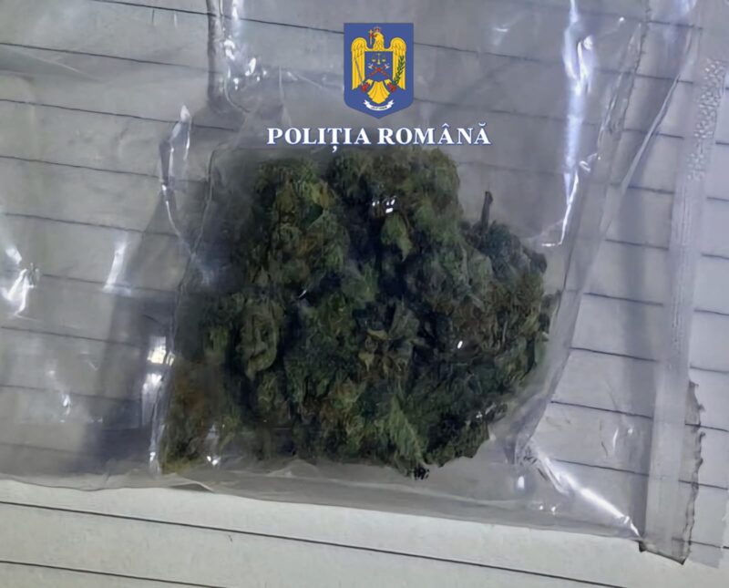 JUDEŢUL CONSTANŢA. Bărbat prins cu droguri în timp ce poliţiştii au oprit o maşină pentru un control