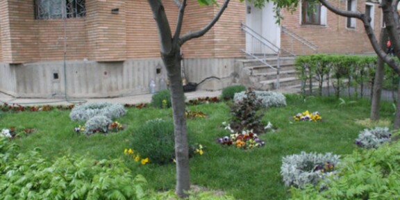 NAŢIONAL. Femeie în vârstă de 76 de ani, amendată de poliţiştii locali pentru că a plantat flori în grădina blocului