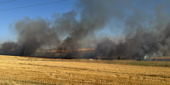 JUDEŢUL CONSTANŢA. Pompierii luptă să stingă un nou incendiu: 10 trenuri de călători sunt oprite