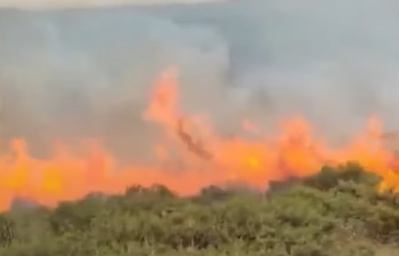 Staţiuni din Turcia şi Grecia, devastate de incendii. Turiști români, evacuați din hoteluri din Izmir – MAE a emis o atenționare de călătorie
