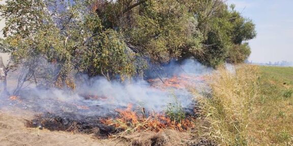 (VIDEO) Incendiu în Delta Dunării, în zona Ostrov Tatanir: au ars 100 de hectare de grâu și 400 de hectare de vegetație uscată
