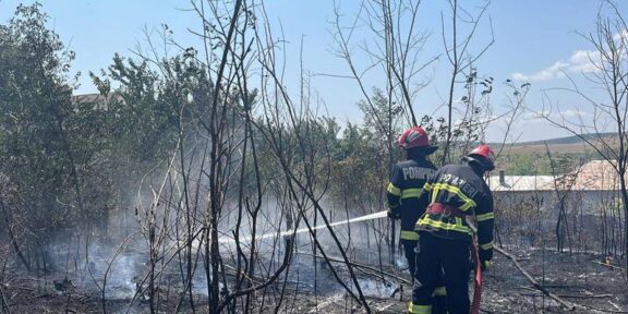(FOTO/VIDEO) JUDEȚUL TULCEA. Pompierii au intervenit de urgență pentru stingerea unui incendiu de vegetație, cu risc de extindere la patru case