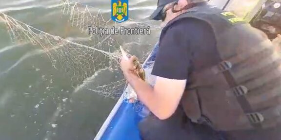 TULCEA. Trei persoane, depistate de polițiștii de frontieră cu 28 de kilograme de sturion în mașină: peștii au fost redați mediului natural