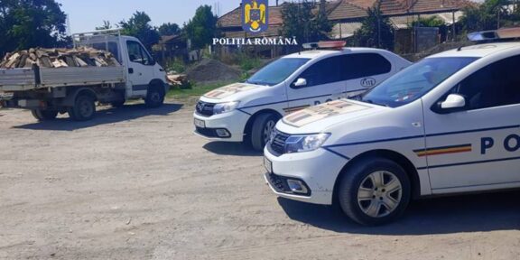 JUDEȚUL CONSTANȚA. Tânăr amendat cu 2.000 de lei pentru că transporta ilegal lemne