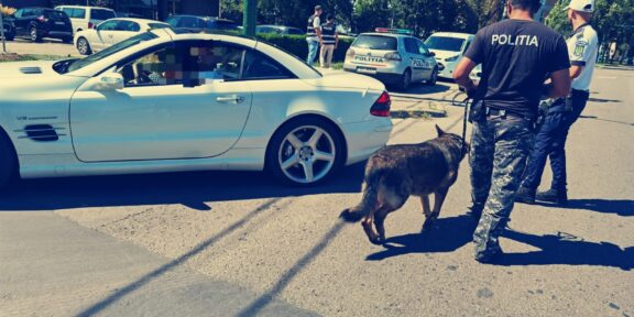 Acţiunea „Blocada” în judeţul Constanţa: persoane prinse cu droguri după ce au devenit agitate în prezența câinelui de urmă