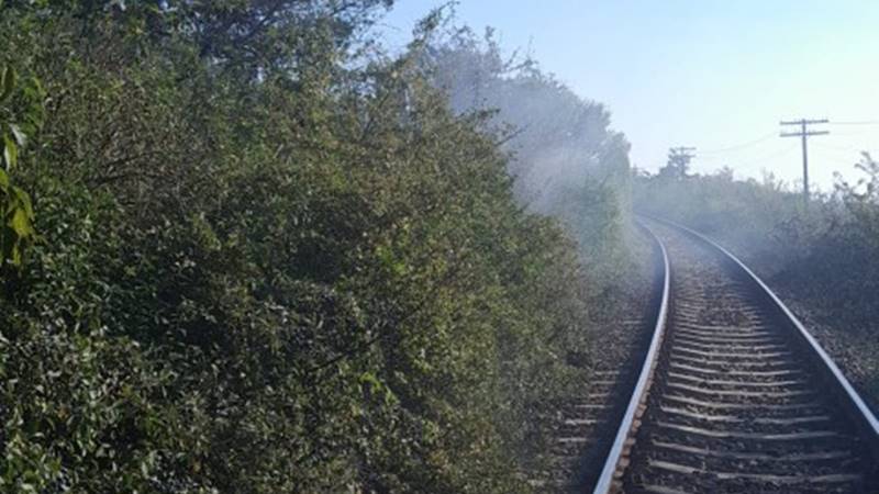 Circulația mai multor trenuri, oprită din cauza incendiului de vegetație uscată de la Olimp