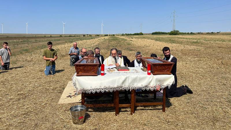 (FOTO) ÎPS Teodosie s-a rugat pentru încetarea secetei pe un câmp din Nicolae Bălcescu: „I-a cerut lui Dumnezeu ploaie liniștită”