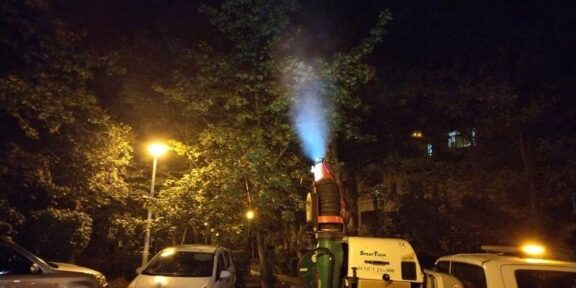 Primăria Constanța: Continuă seria tratamentelor fitosanitare la arbori și arbuști, în Constanța și Mamaia