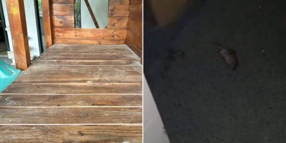 Dezastru la un hotel de lângă Aeroportul Otopeni: ANPC a oprit activitatea pentru cinci luni – au fost găsiți șoareci morți la subsol, nu erau întocmite fișe de cazare, iar unitatea nu are autorizații