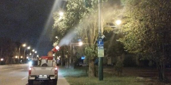 Se aplică tratamente fitosanitare în zonele verzi de pe raza municipiului Constanța și stațiunea Mamaia