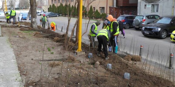 CONSTANȚA. Continuă lucrările la spațiul verde: în această săptămână, acțiunile se concentrează în cartierul Poarta 6