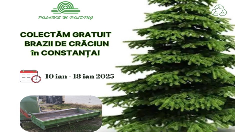 Polaris colectează gratuit brazii naturali de Crăciun în Constanța
