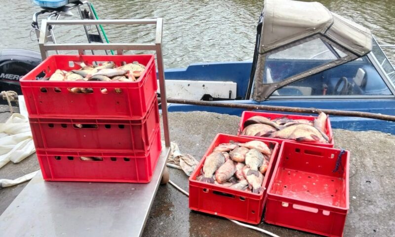 900 de metri de plasă monofilament, cu o captură de 209 kilograme de pește, descoperite în lacul Leahova de către polițiștii de frontieră tulceni