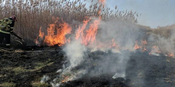 (FOTO/VIDEO) Incendiu în apropiere de localitatea Măcin: ard 3 hectare de vegetație stuficolă