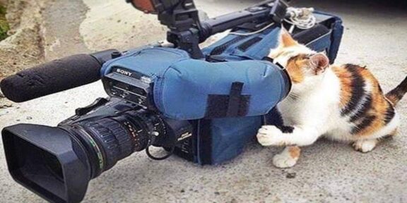 Zi de mare sărbătoare, Constanța Tv scoasă la plimbare! Pe lângă Cazino. Administrația invită pe cine poate, domnule Chițac, asta e neutralitate?