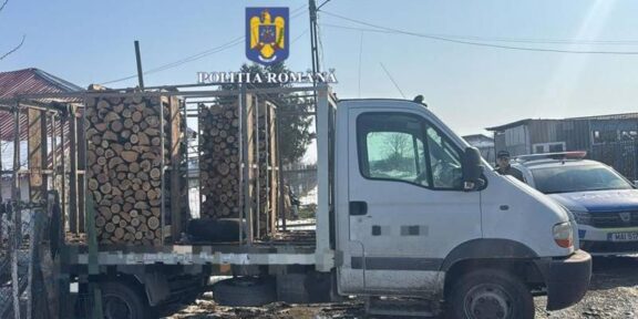 Acțiune a polițiștilor orașului Techirghiol: oamenii legii au indisponibilizat aproape cinci metri cubi de material lemnos