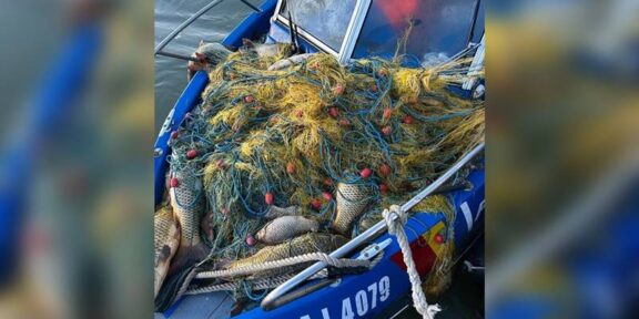 2.000 metri de plase fir textil cu 170 kilograme de pește, descoperite de polițiștii de frontieră în Biosfera Delta Dunării