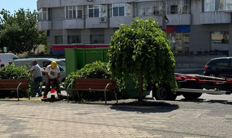 Operațiunea „Dudul împuțit” – sau cum a scos contraamiralul drujba din teacă și a executat natura