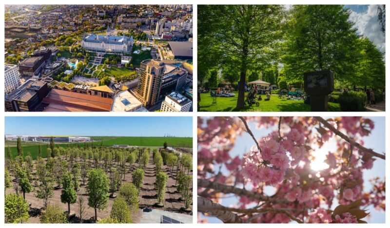 Parcuri, grădină botanică și piațete: Cum putem transforma Constanța într-un oraș mai verde?