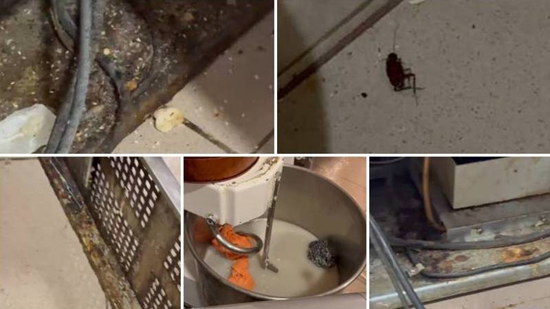 (FOTO/VIDEO) Patiserie din zona Dacia, închisă temporar de Protecția Consumatorilor: mizerie de nedescris, gândaci și depuneri masive de grăsime