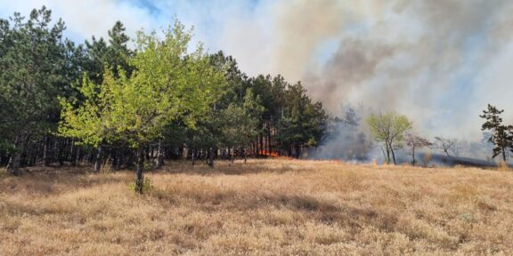 Pompierii tulceni se luptă în continuare să stingă incendiul izbucnit în apropierea localității Greci: a fost solicitat sprijinul unui elicopter Black Hawk