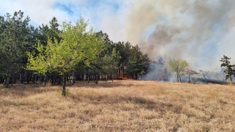 Pompierii tulceni se luptă în continuare să stingă incendiul izbucnit în apropierea localității Greci: a fost solicitat sprijinul unui elicopter Black Hawk
