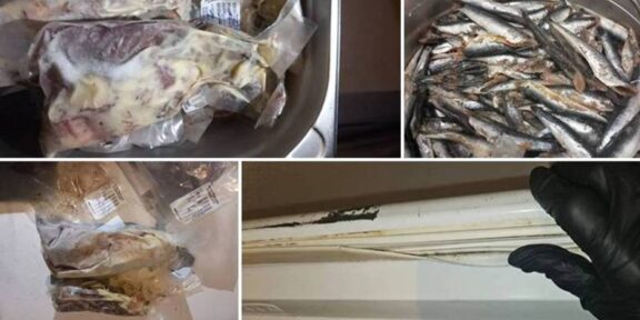 Șapte cluburi din Vama Veche și Costinești, închise temporar de Protecția Consumatorilor: amenzi de peste 230.000 de lei – ce nereguli au găsit comisarii