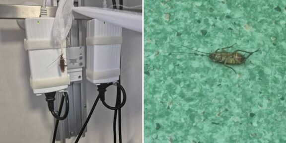 „Lagăr” în  Centrul de Arși al Spitalului Floreasca: pacientă cu arsuri grave și infectată cu bacterii, ignorată de medici. Ministerul Sănătății a dispus controale